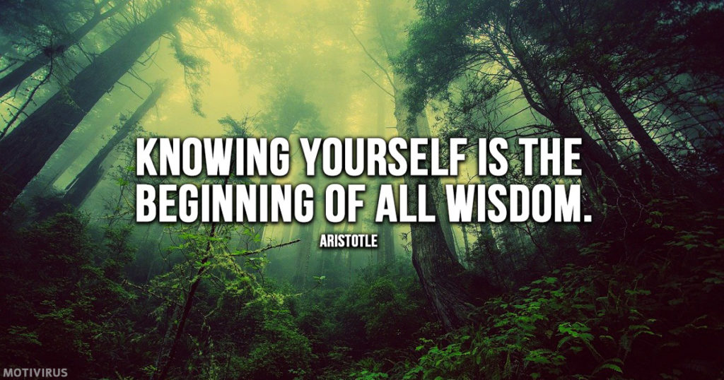 “Knowing yourself is the beginning of all wisdom.” - Aristotle