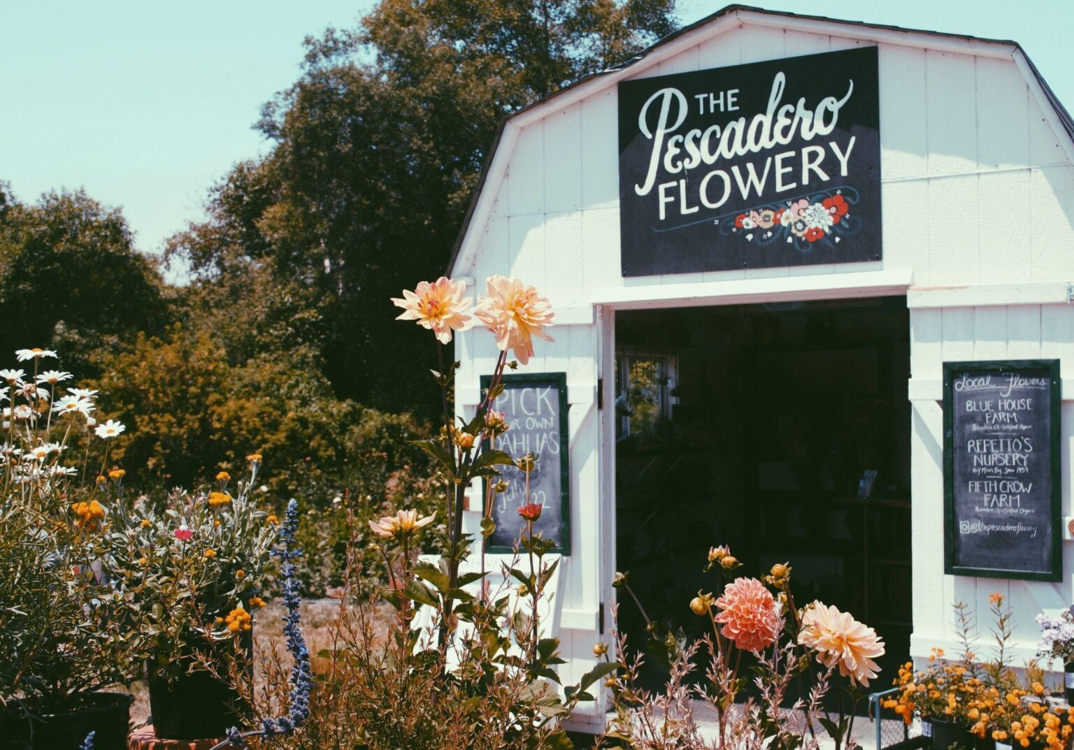 Shop Sign Ideas How To Attract Customers With Creative Signs Motivirus