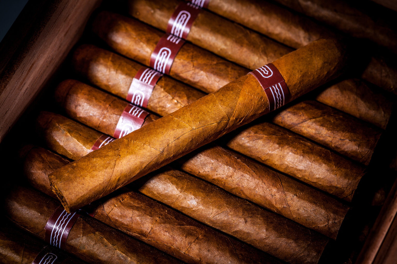 How to Buy Cigars Finding the Best Motivirus